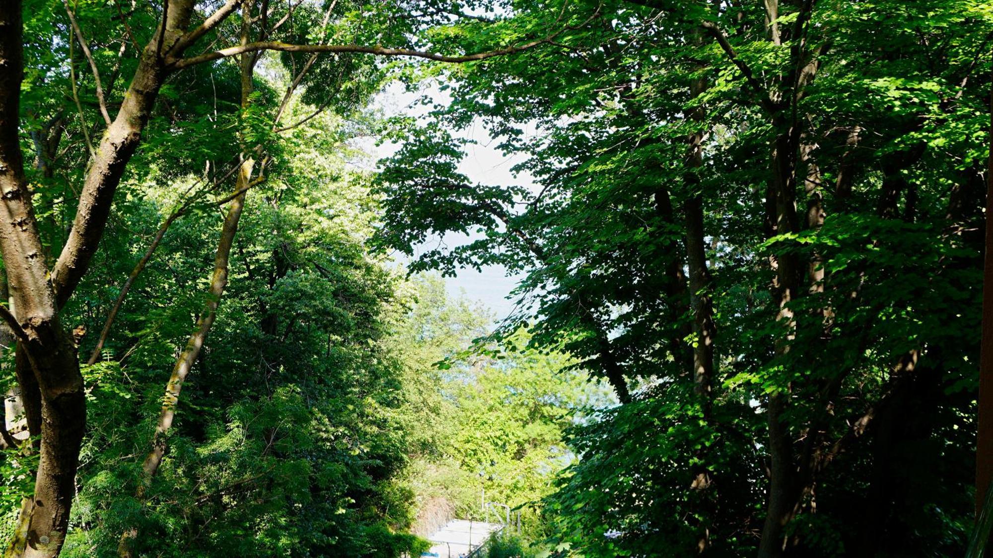 Бяла Клиф Форест - Byala Cliff Forest 外观 照片